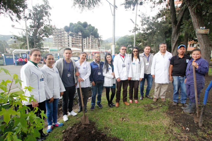 reforestacion